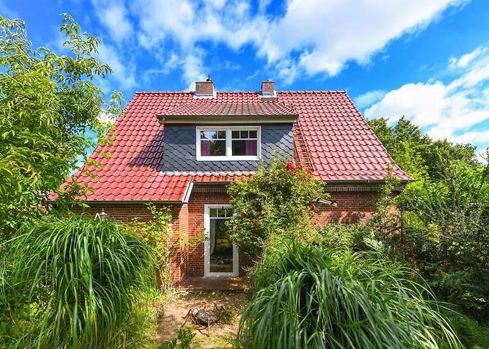 Magnolia Сasa de vacaciones